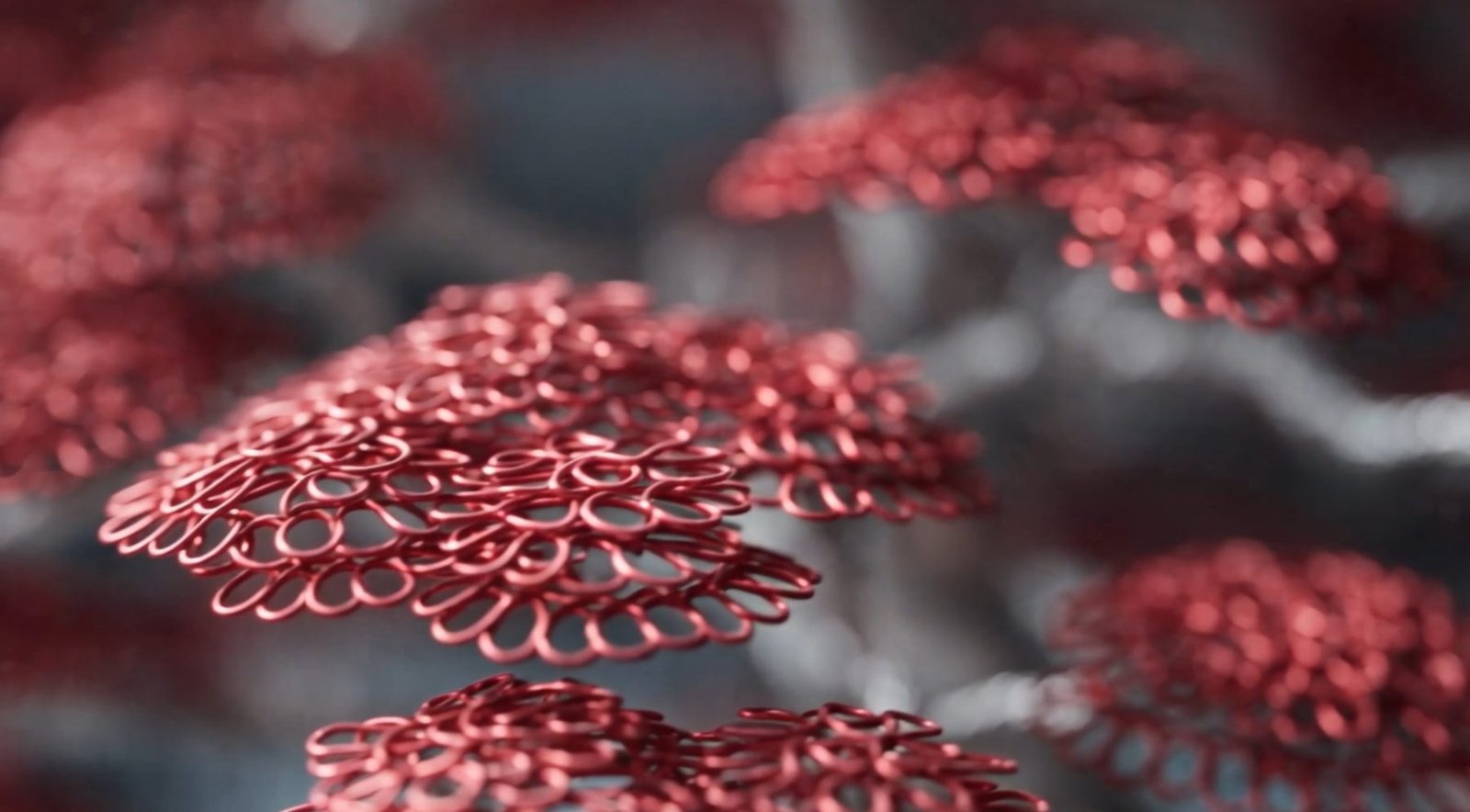 Detail of the red wire leaf clusters